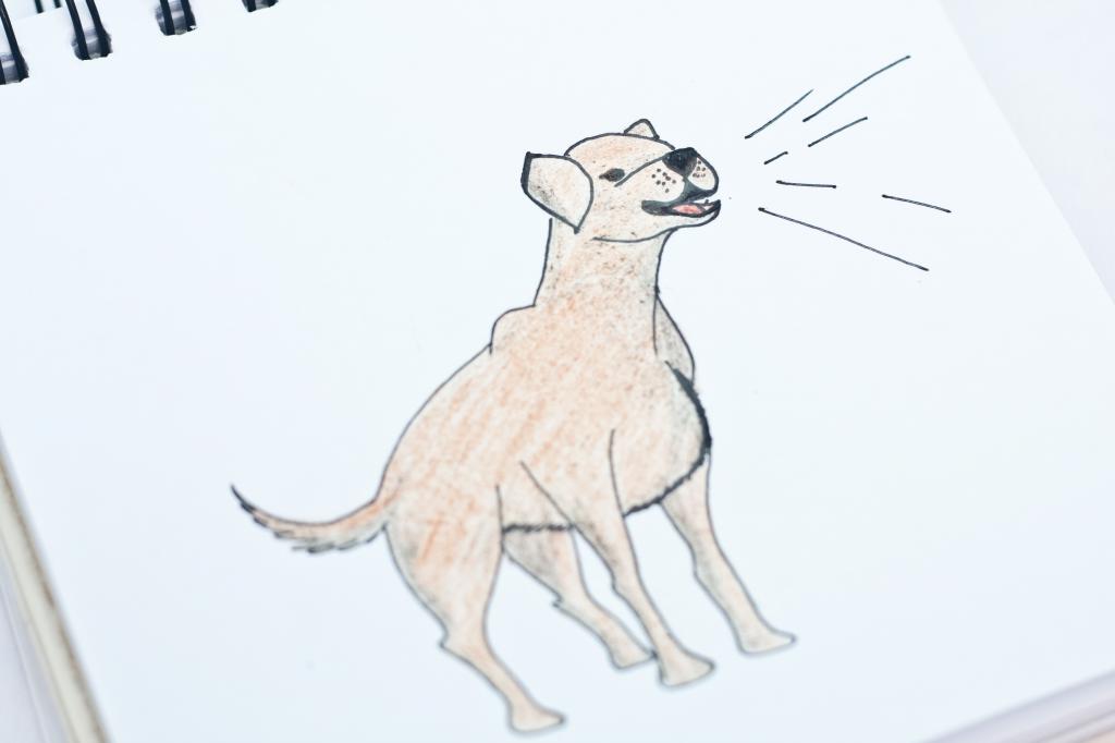 собака рисунок