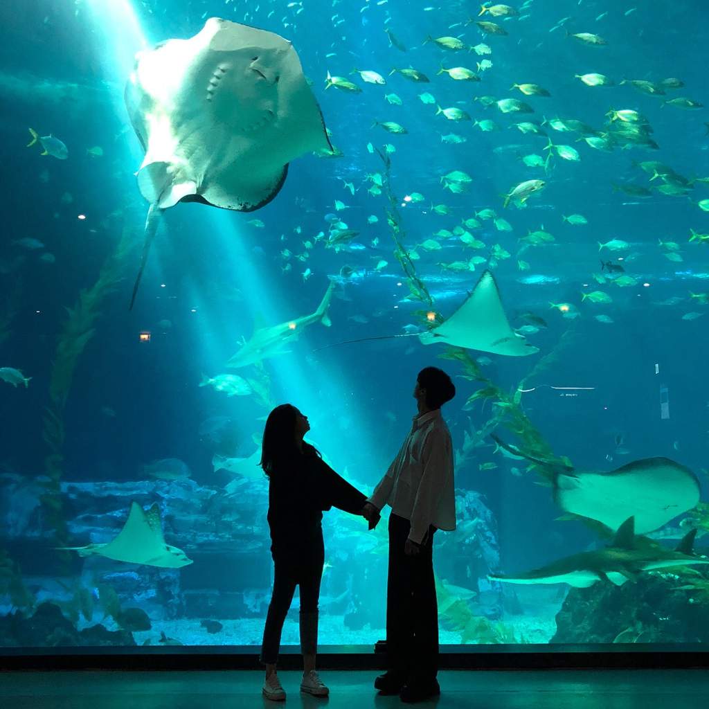 парень и девушка в океанариуме