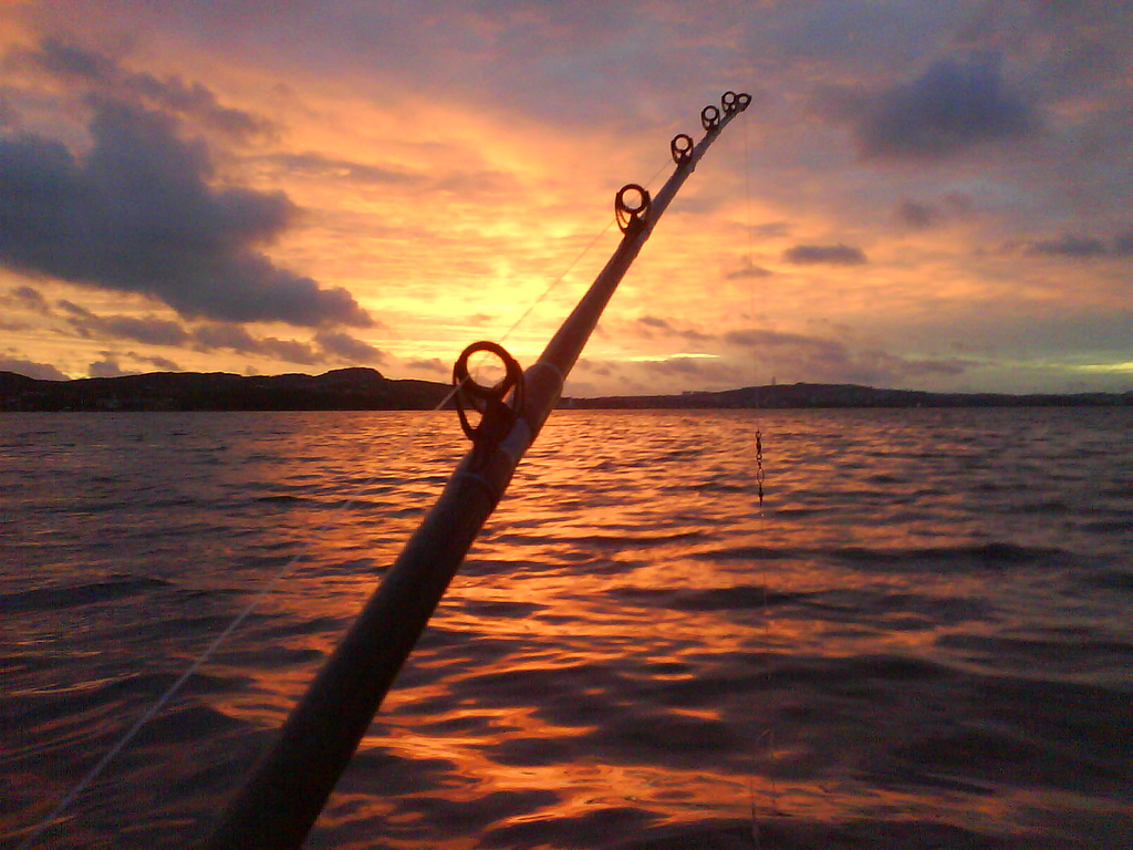 сон ловлю рыбу руками
