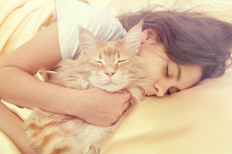 Спящая девушка с котом