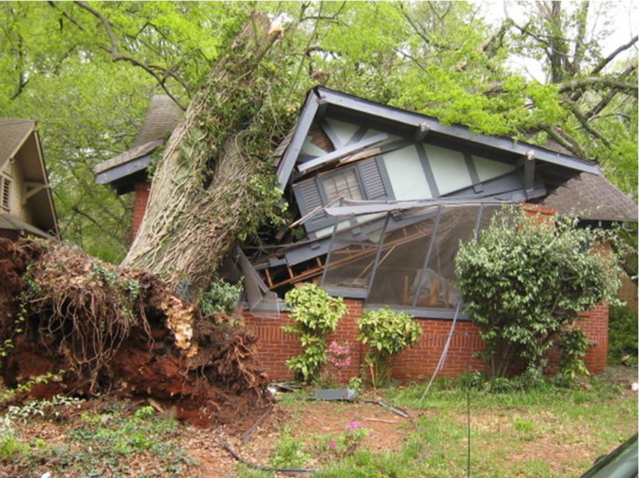 упало дерево на дом