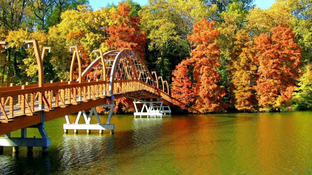 к чему снится мост в осенней листве