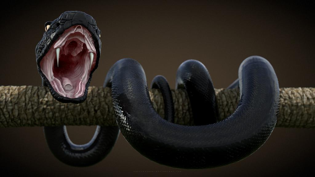 Черная змея