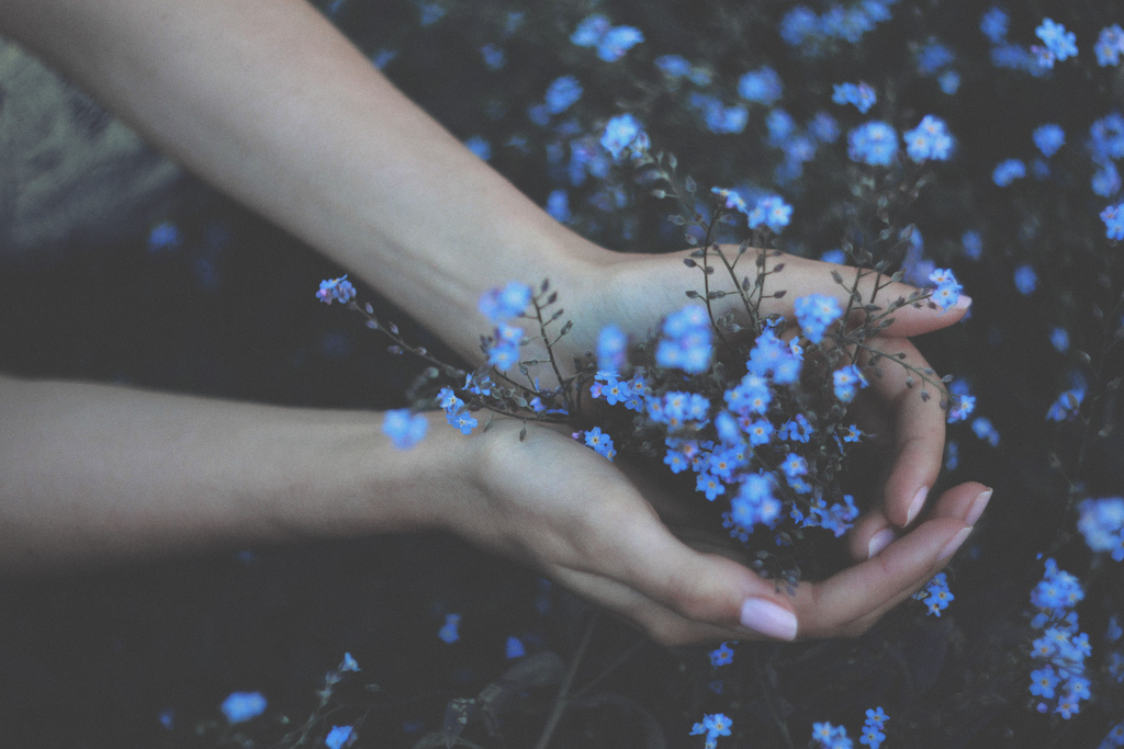 сонник букет синих цветов