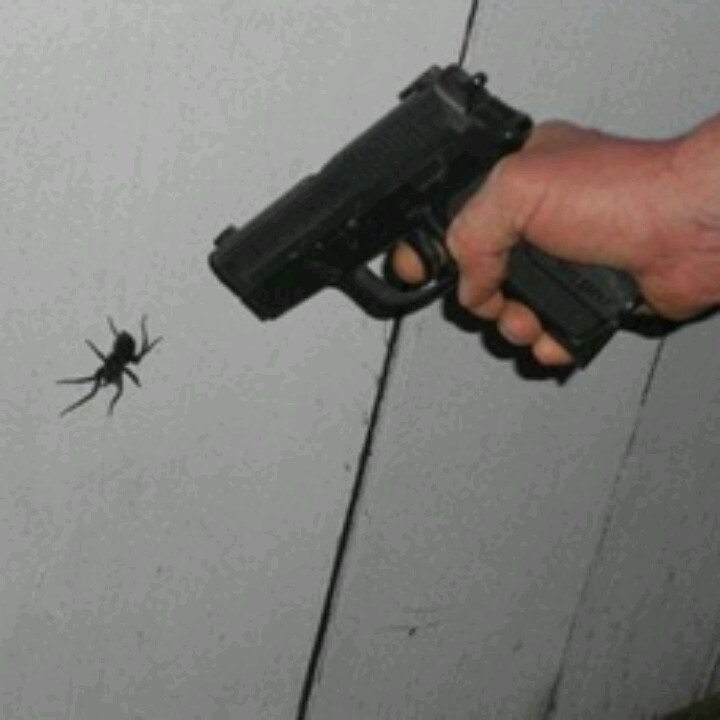 Убить паука