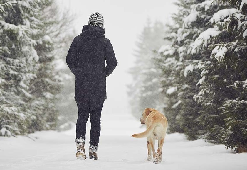 Парень с собакой идут по снегу