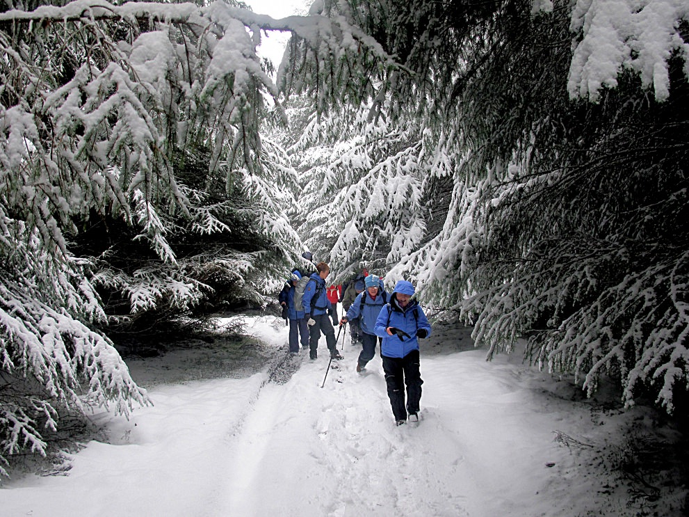 Люди идут по снежному лесу