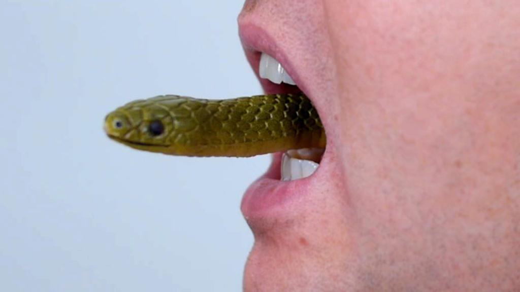 Змея лезет изо рта