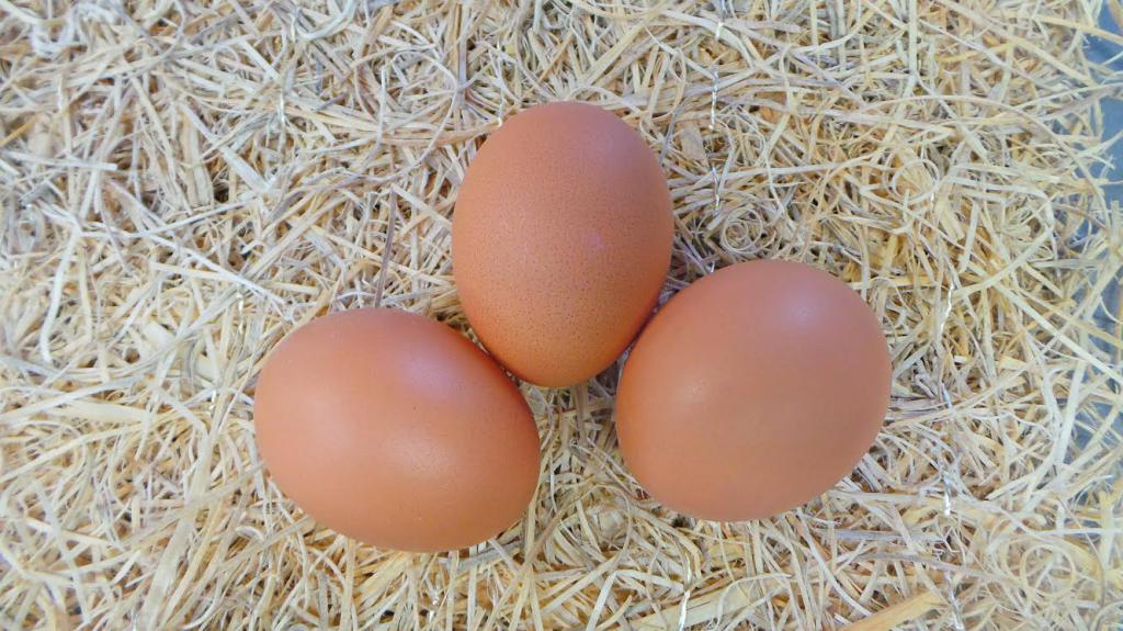 Три яйца