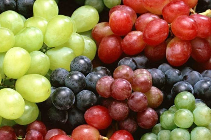 гроздья винограда разного цвета