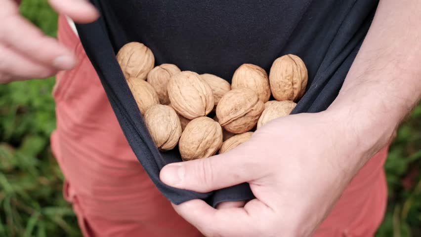 Орехи в футболке