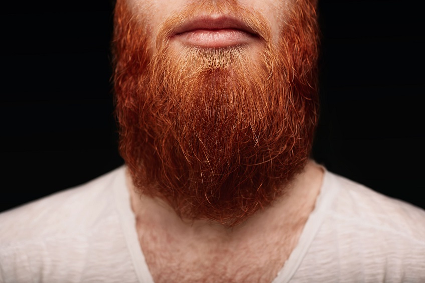 Длинная рыжая борода