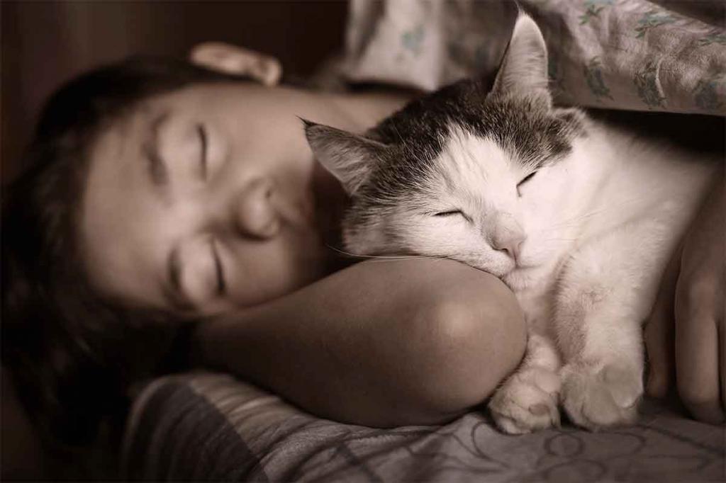 Спящий человек с котом