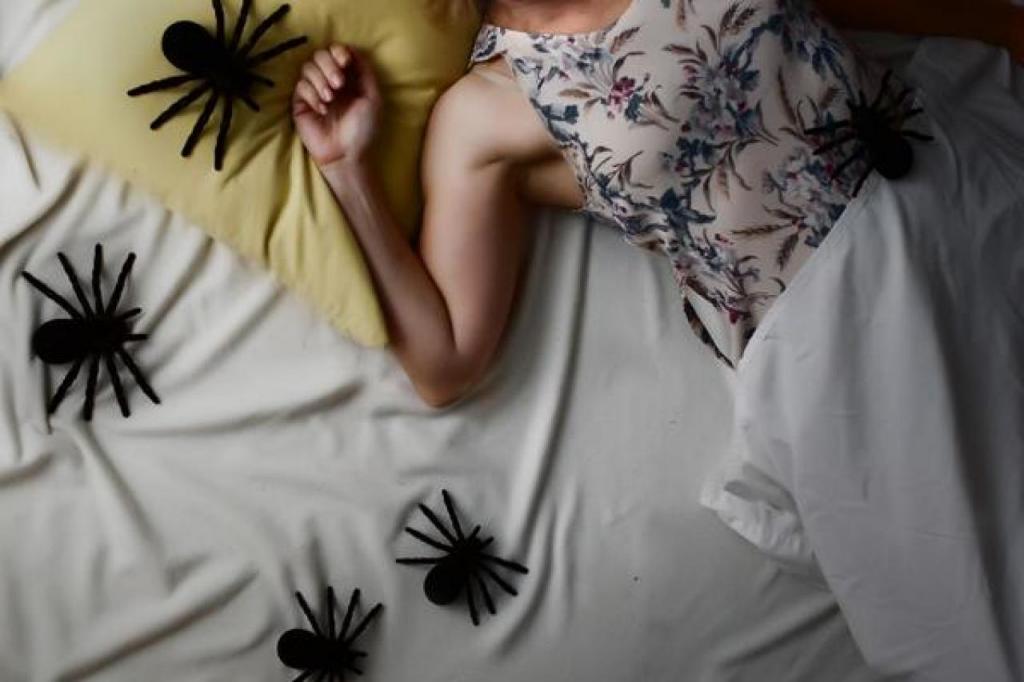 пауки на кровати