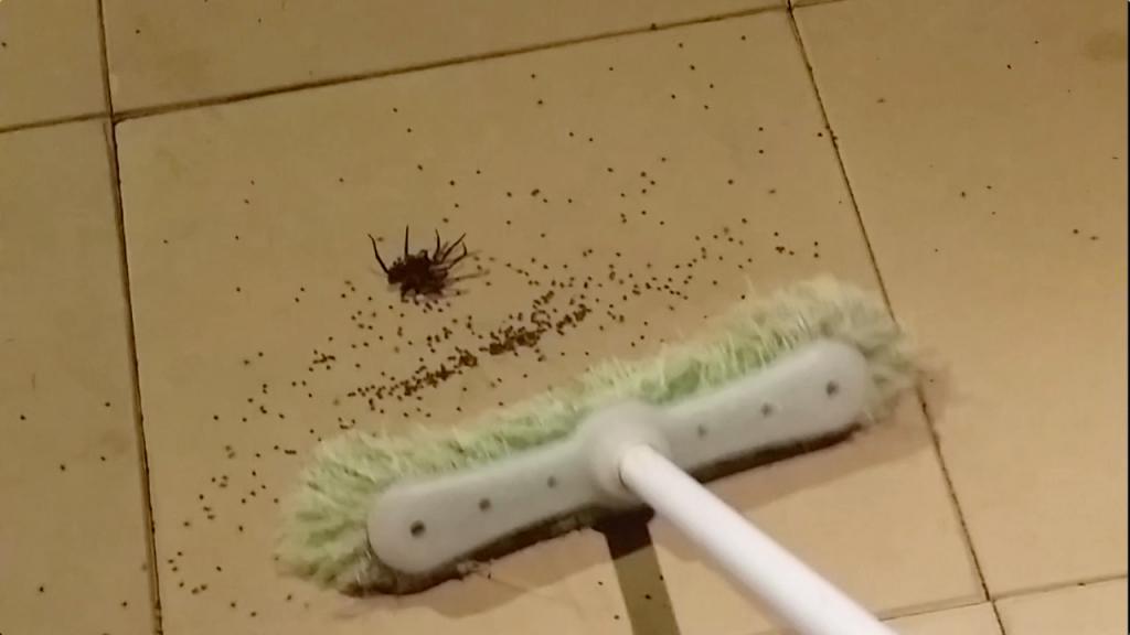 убить паука