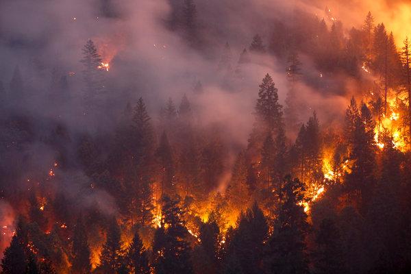 Пожар и дым в лесу
