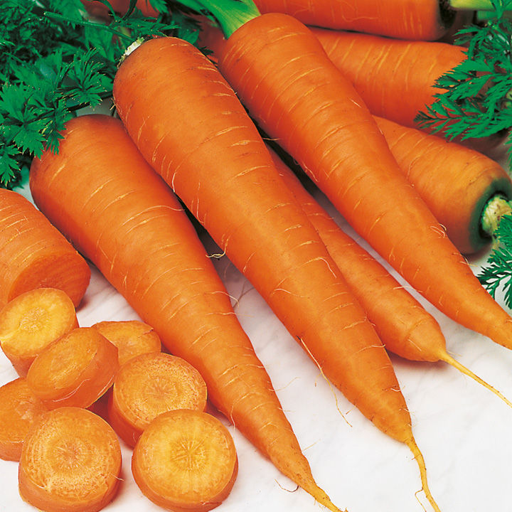 Сон с морковью
