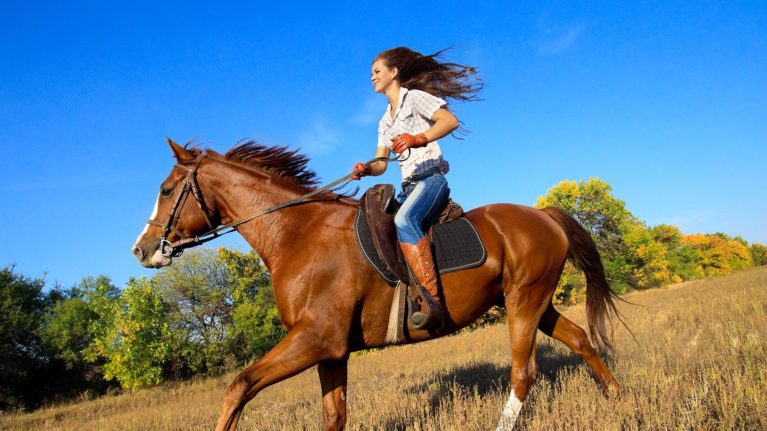 Девушка скачет на рыжей лошади