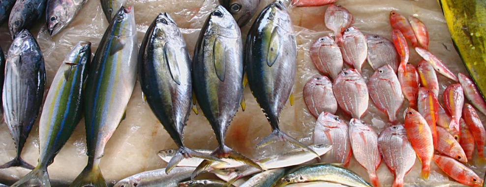 разновидность рыбы